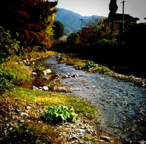 Img-3.php