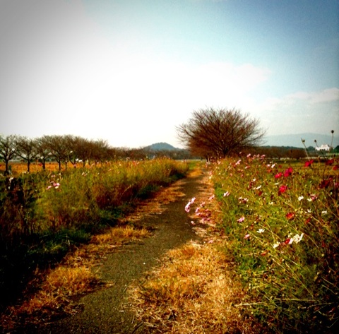 Img-2.php