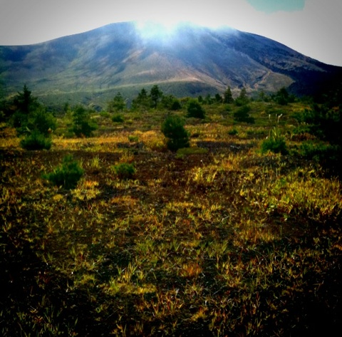 Img-18.php