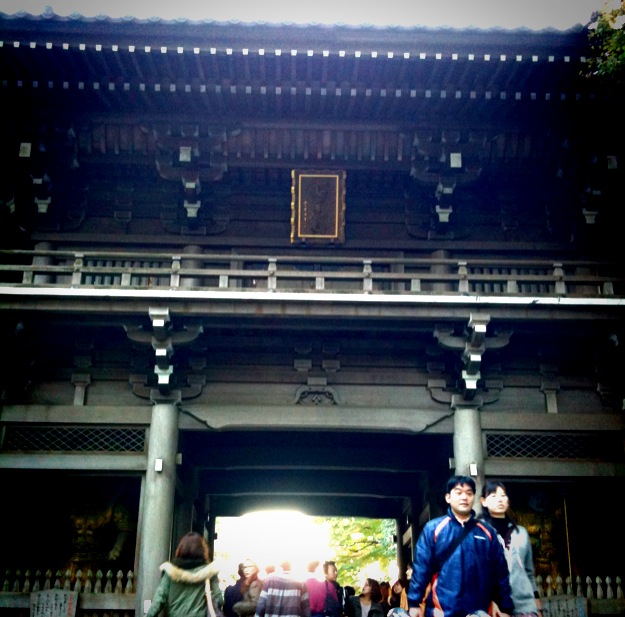 Img-3.php